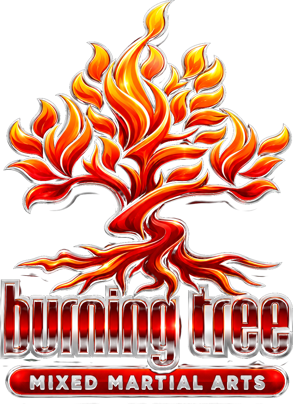 Burning Tree Mixed Martial Arts